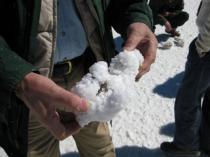 Lithium containing salt from a salar
