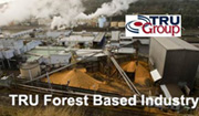 TRU Group forest pulp board paper industy consultant