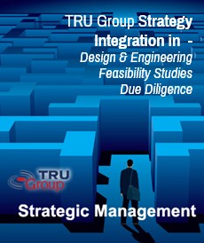 TRU Group Strategic Management Strategy Planning